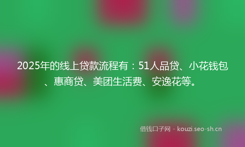 2025年的线上贷款流程有：51人品贷、小花钱包、惠商贷、美团生活费、安逸花等。
