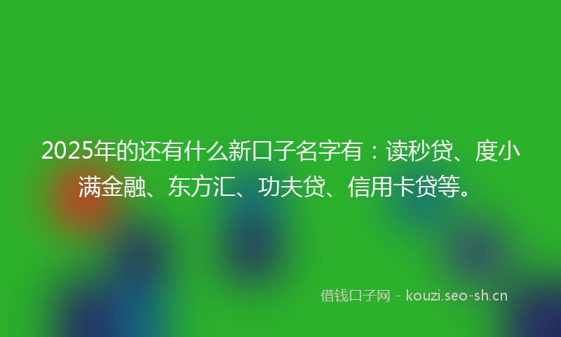 2025年的还有什么新口子名字有：读秒贷、度小满金融、东方汇、功夫贷、信用卡贷等。