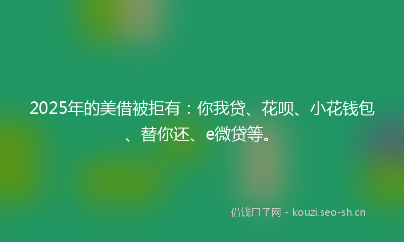 2025年的美借被拒有：你我贷、花呗、小花钱包、替你还、e微贷等。
