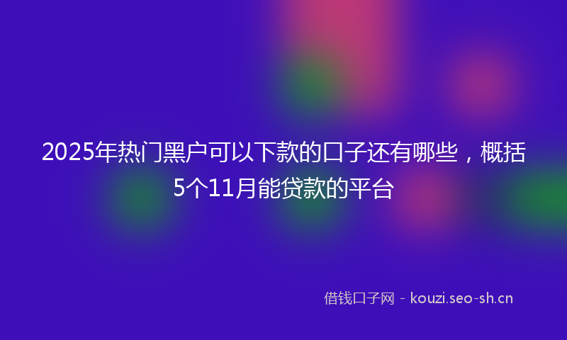 2025年热门黑户可以下款的口子还有哪些，概括5个11月能贷款的平台