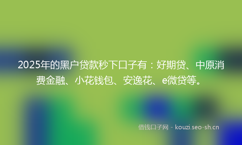 2025年的黑户贷款秒下口子有：好期贷、中原消费金融、小花钱包、安逸花、e微贷等。