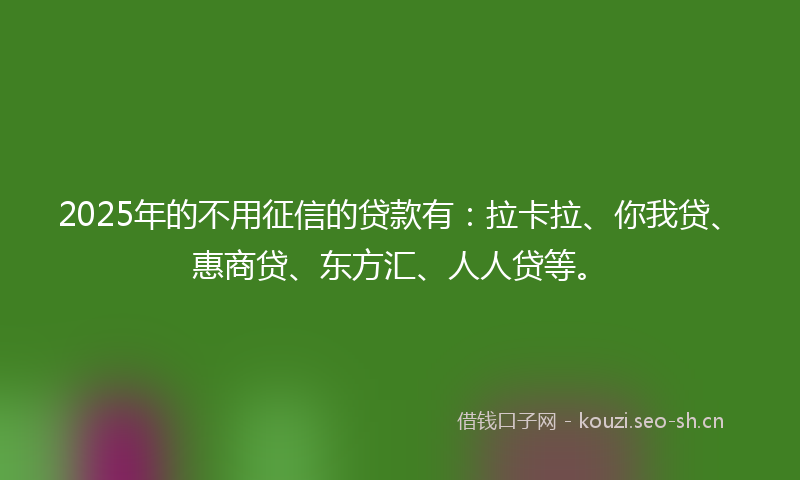 2025年的不用征信的贷款有：拉卡拉、你我贷、惠商贷、东方汇、人人贷等。