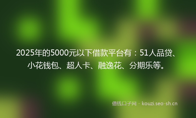 2025年的5000元以下借款平台有:51人品贷、小花钱包、超人卡、融逸花、分期乐等。