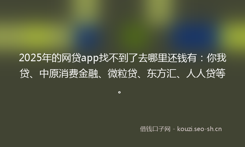 2025年的网贷app找不到了去哪里还钱有：你我贷、中原消费金融、微粒贷、东方汇、人人贷等。