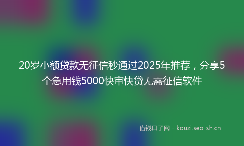 20岁小额贷款无征信秒通过2025年推荐,分享5个急用钱5000快审快贷无需征信软件