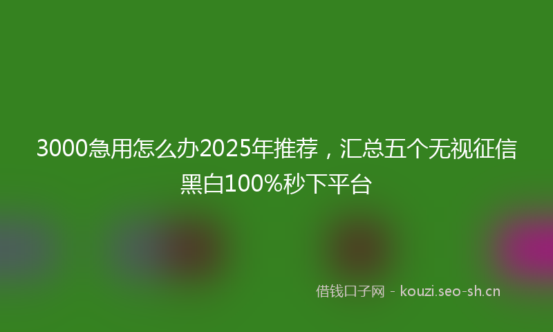 3000急用怎么办2025年推荐，汇总五个无视征信黑白100%秒下平台