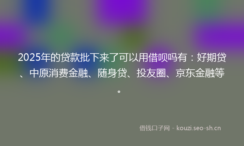 2025年的贷款批下来了可以用借呗吗有：好期贷、中原消费金融、随身贷、投友圈、京东金融等。