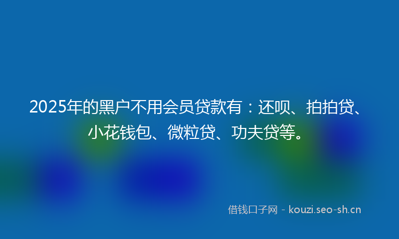2025年的黑户不用会员贷款有:还呗、拍拍贷、小花钱包、微粒贷、功夫贷等。
