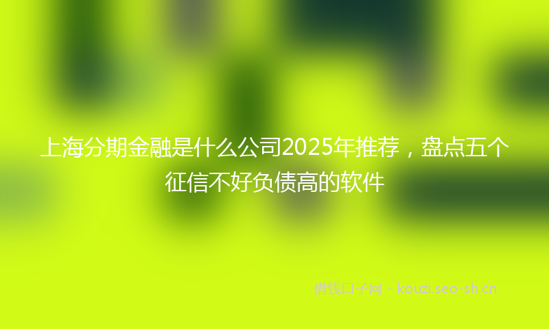 上海分期金融是什么公司2025年推荐，盘点五个征信不好负债高的软件