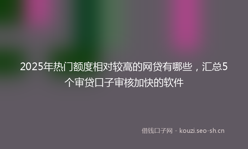 2025年热门额度相对较高的网贷有哪些，汇总5个审贷口子审核加快的软件