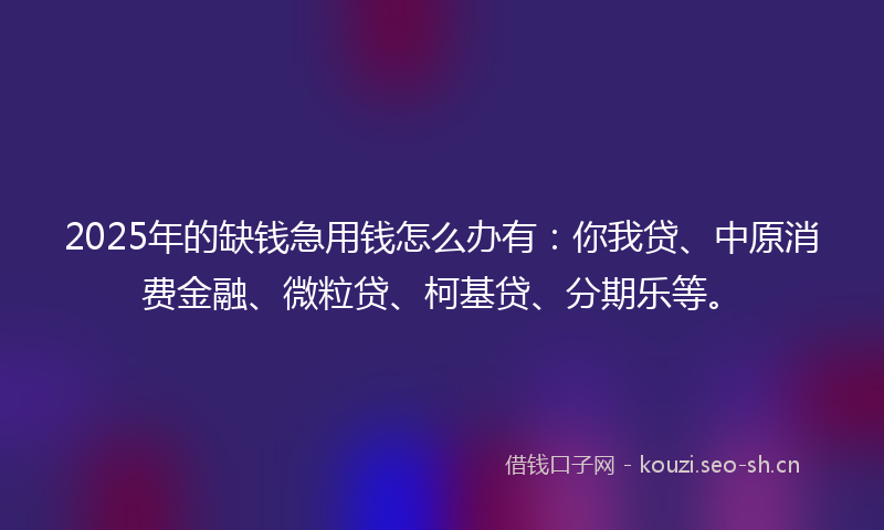 2025年的缺钱急用钱怎么办有：你我贷、中原消费金融、微粒贷、柯基贷、分期乐等。