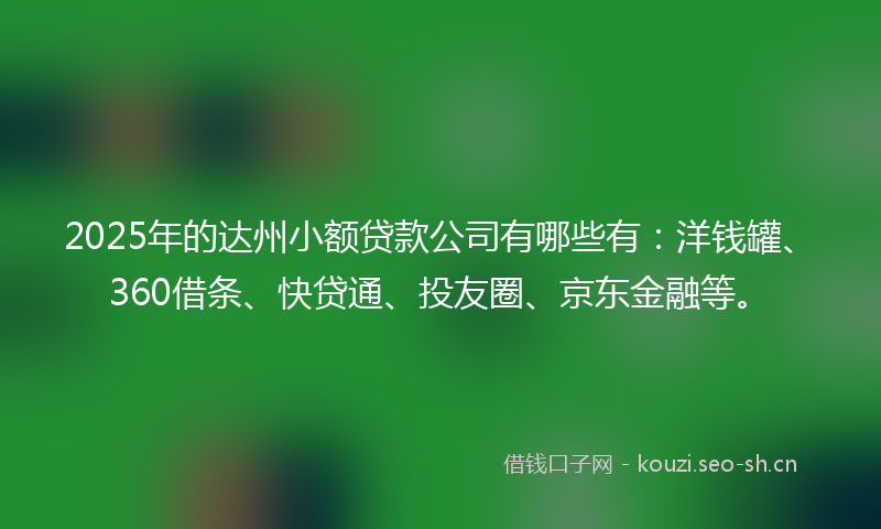 2025年的达州小额贷款公司有哪些有：洋钱罐、360借条、快贷通、投友圈、京东金融等。