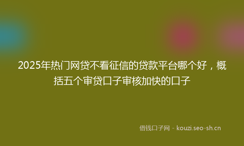 2025年热门网贷不看征信的贷款平台哪个好，概括五个审贷口子审核加快的口子