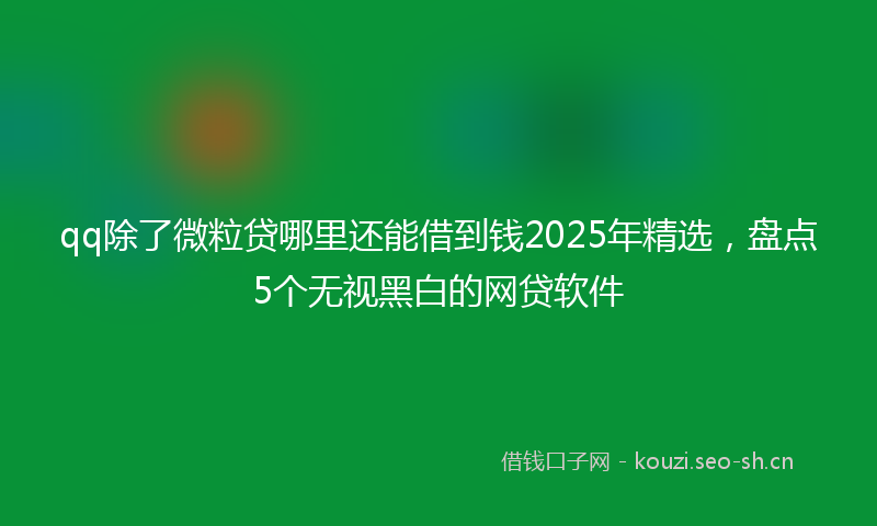qq除了微粒贷哪里还能借到钱2025年精选，盘点5个无视黑白的网贷软件