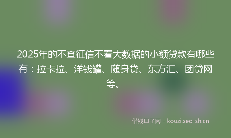 2025年的不查征信不看大数据的小额贷款有哪些有:拉卡拉、洋钱罐、随身贷、东方汇、团贷网等。