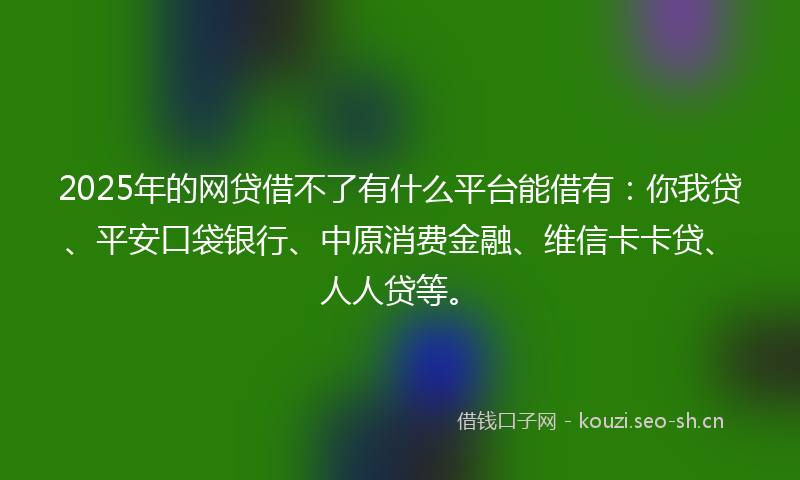 2025年的网贷借不了有什么平台能借有：你我贷、平安口袋银行、中原消费金融、维信卡卡贷、人人贷等。