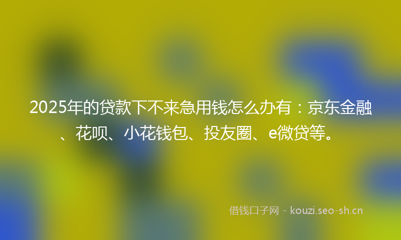 2025年的贷款下不来急用钱怎么办有：京东金融、花呗、小花钱包、投友圈、e微贷等。
