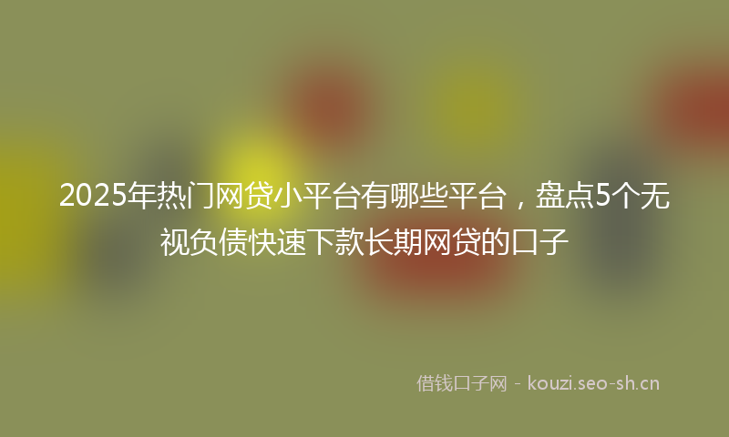 2025年热门网贷小平台有哪些平台，盘点5个无视负债快速下款长期网贷的口子