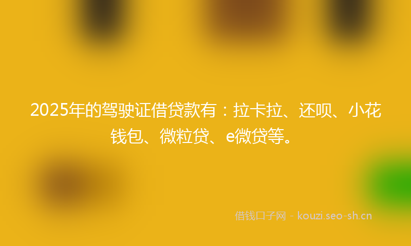 2025年的驾驶证借贷款有：拉卡拉、还呗、小花钱包、微粒贷、e微贷等。