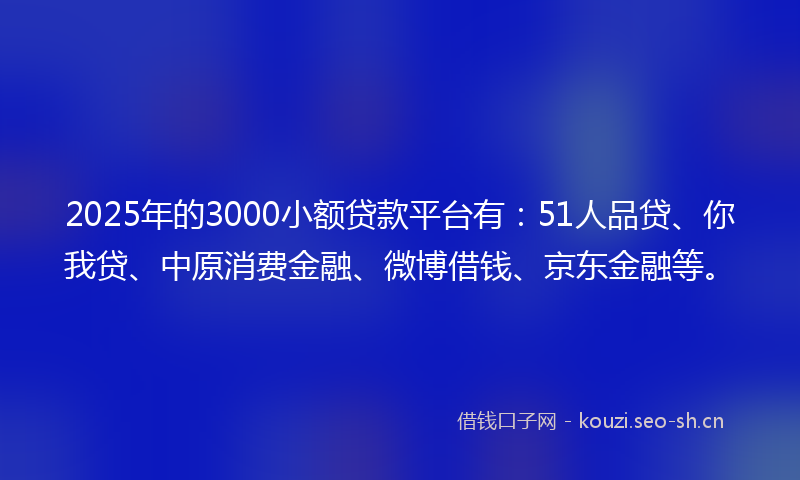 2025年的3000小额贷款平台有：51人品贷、你我贷、中原消费金融、微博借钱、京东金融等。