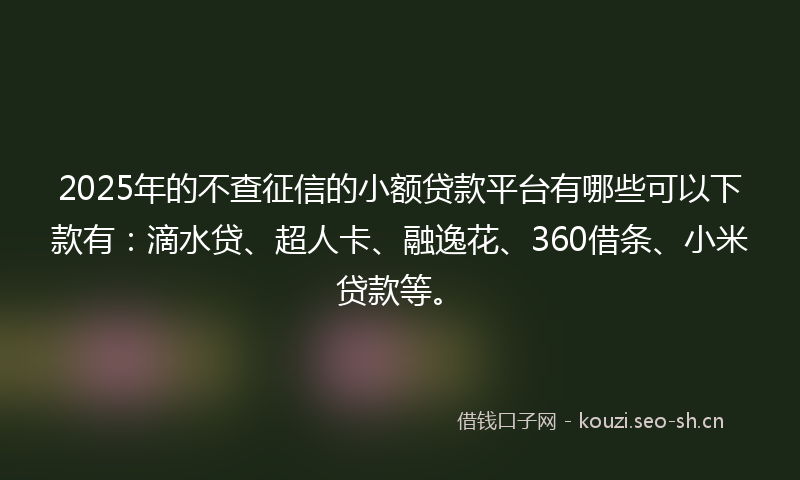 2025年的不查征信的小额贷款平台有哪些可以下款有：滴水贷、超人卡、融逸花、360借条、小米贷款等。