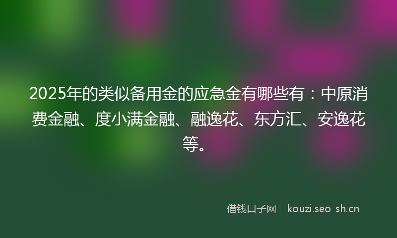 2025年的类似备用金的应急金有哪些有：中原消费金融、度小满金融、融逸花、东方汇、安逸花等。