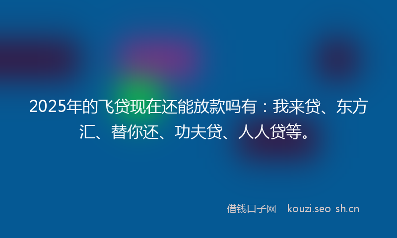 2025年的飞贷现在还能放款吗有：我来贷、东方汇、替你还、功夫贷、人人贷等。