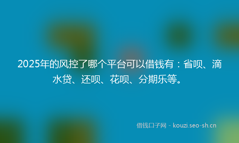 2025年的风控了哪个平台可以借钱有：省呗、滴水贷、还呗、花呗、分期乐等。