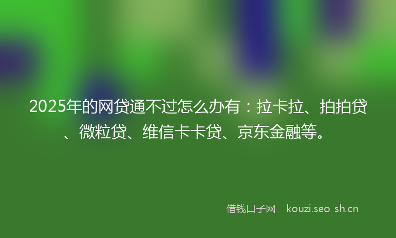 2025年的网贷通不过怎么办有：拉卡拉、拍拍贷、微粒贷、维信卡卡贷、京东金融等。