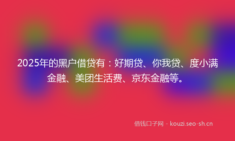 2025年的黑户借贷有：好期贷、你我贷、度小满金融、美团生活费、京东金融等。