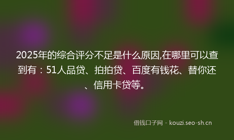 2025年的综合评分不足是什么原因,在哪里可以查到有：51人品贷、拍拍贷、百度有钱花、替你还、信用卡贷等。