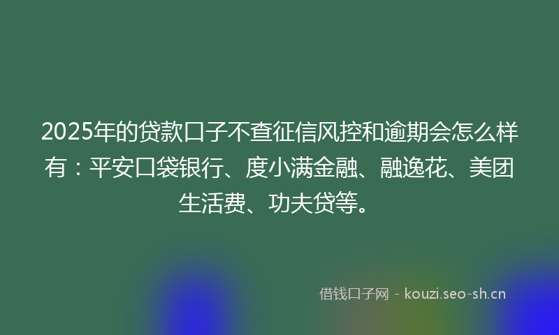 2025年的贷款口子不查征信风控和逾期会怎么样有：平安口袋银行、度小满金融、融逸花、美团生活费、功夫贷等。