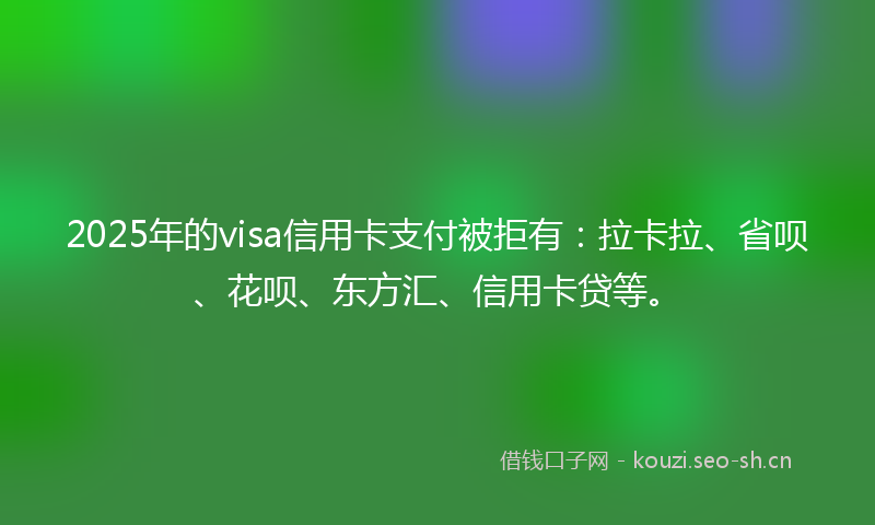 2025年的visa信用卡支付被拒有：拉卡拉、省呗、花呗、东方汇、信用卡贷等。
