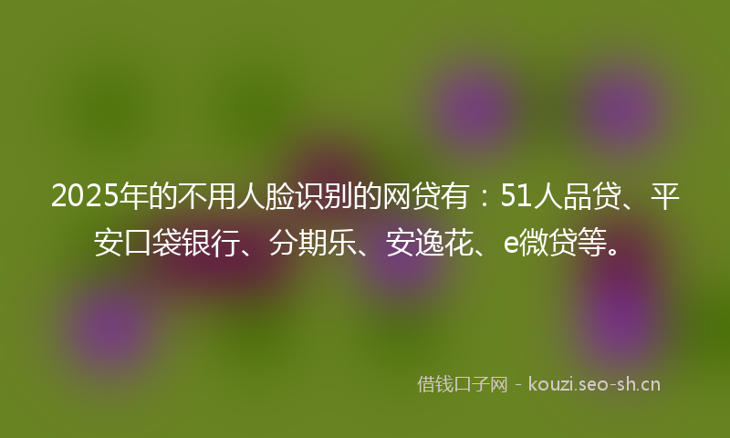 2025年的不用人脸识别的网贷有：51人品贷、平安口袋银行、分期乐、安逸花、e微贷等。