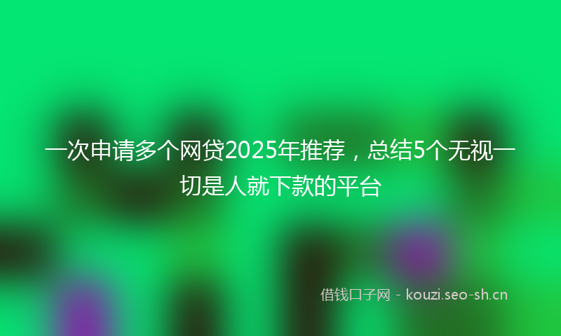 一次申请多个网贷2025年推荐，总结5个无视一切是人就下款的平台