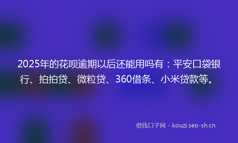 2025年的花呗逾期以后还能用吗有：平安口袋银行、拍拍贷、微粒贷、360借条、小米贷款等。