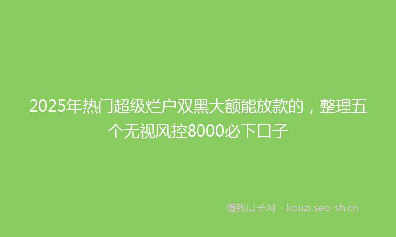 2025年热门超级烂户双黑大额能放款的,整理五个无视风控8000必下口子