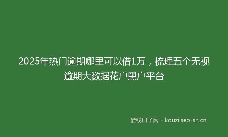 2025年热门逾期哪里可以借1万，梳理五个无视逾期大数据花户黑户平台