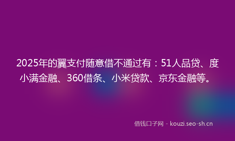 2025年的翼支付随意借不通过有：51人品贷、度小满金融、360借条、小米贷款、京东金融等。