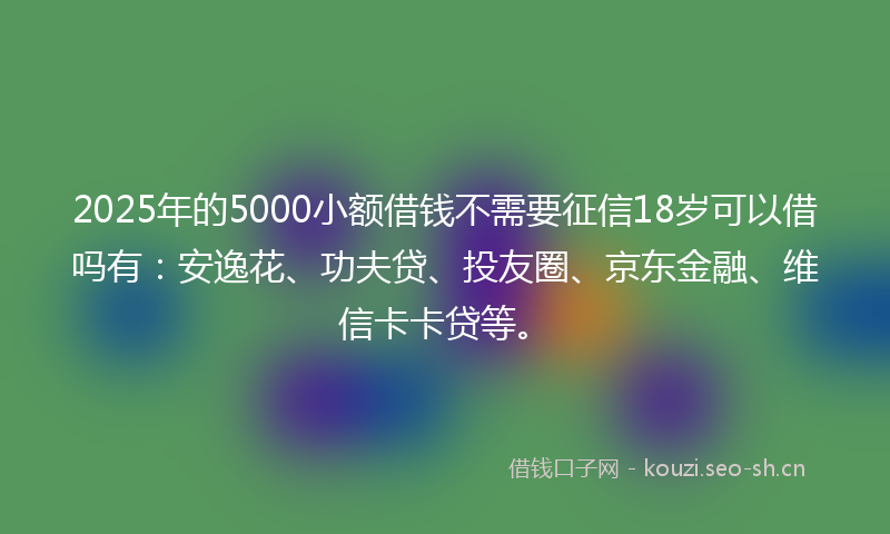 2025年的5000小额借钱不需要征信18岁可以借吗有：安逸花、功夫贷、投友圈、京东金融、维信卡卡贷等。