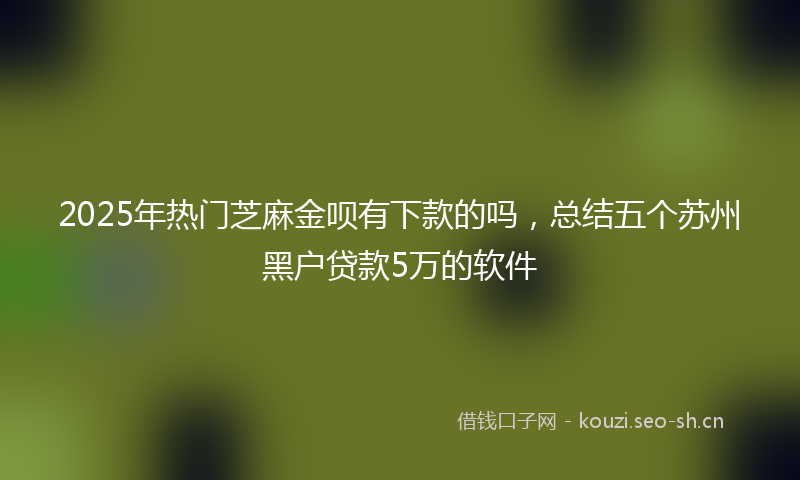 2025年热门芝麻金呗有下款的吗，总结五个苏州黑户贷款5万的软件