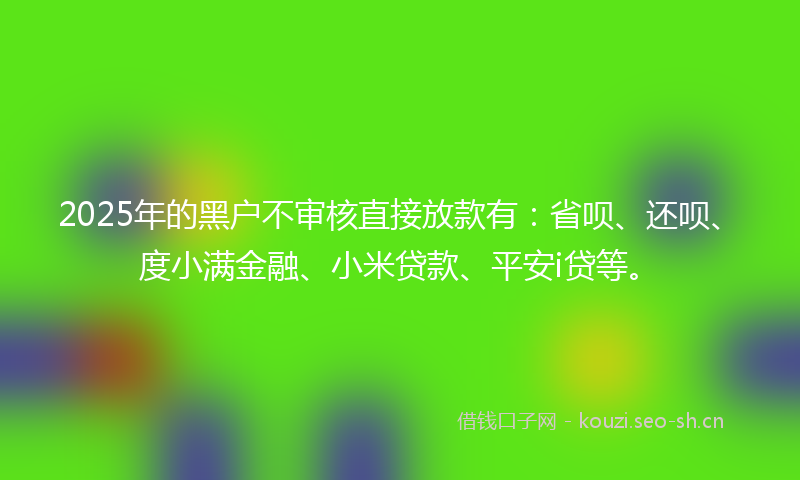 2025年的黑户不审核直接放款有：省呗、还呗、度小满金融、小米贷款、平安i贷等。