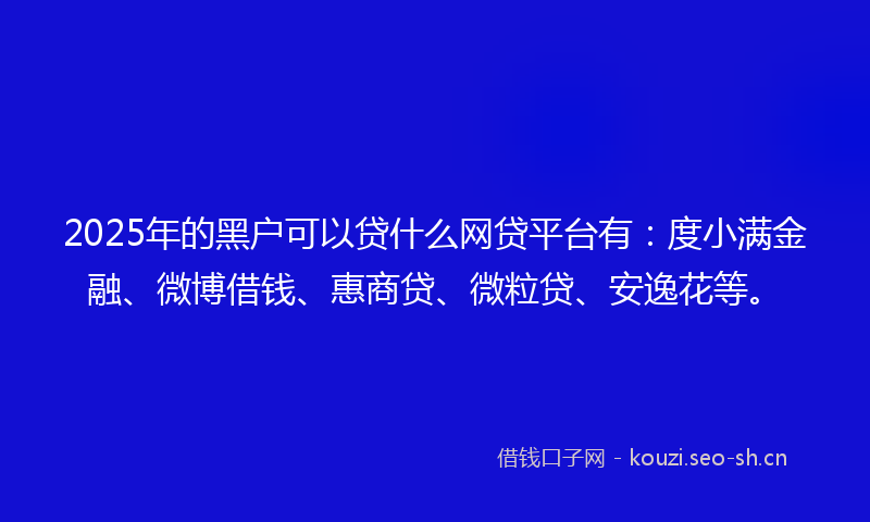 2025年的黑户可以贷什么网贷平台有：度小满金融、微博借钱、惠商贷、微粒贷、安逸花等。