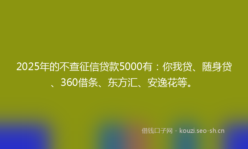 2025年的不查征信贷款5000有：你我贷、随身贷、360借条、东方汇、安逸花等。