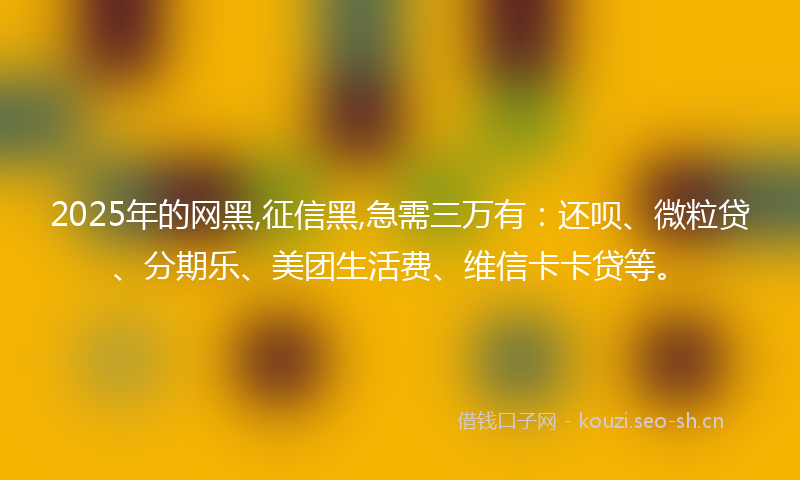 2025年的网黑,征信黑,急需三万有：还呗、微粒贷、分期乐、美团生活费、维信卡卡贷等。