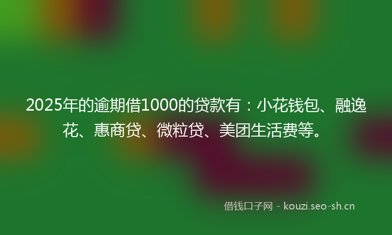 2025年的逾期借1000的贷款有：小花钱包、融逸花、惠商贷、微粒贷、美团生活费等。