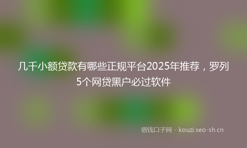 几千小额贷款有哪些正规平台2025年推荐,罗列5个网贷黑户必过软件