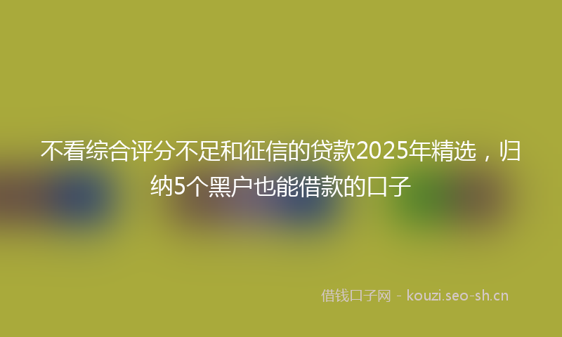 不看综合评分不足和征信的贷款2025年精选，归纳5个黑户也能借款的口子