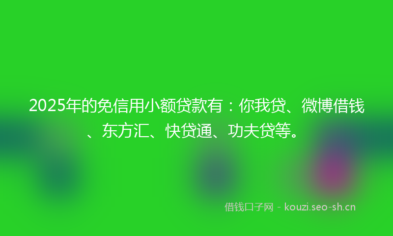 2025年的免信用小额贷款有：你我贷、微博借钱、东方汇、快贷通、功夫贷等。