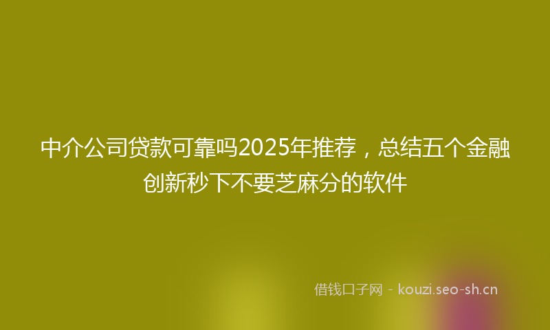 中介公司贷款可靠吗2025年推荐，总结五个金融创新秒下不要芝麻分的软件
